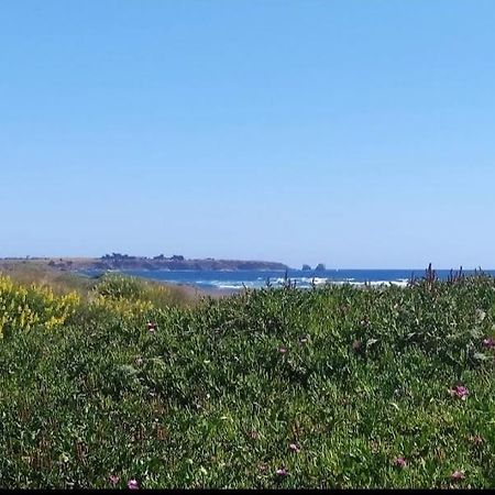 Saldemar Playa Hermosa Pichilemu Eksteriør billede