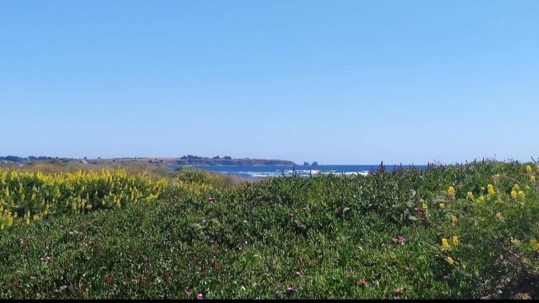 Saldemar Playa Hermosa Pichilemu Eksteriør billede